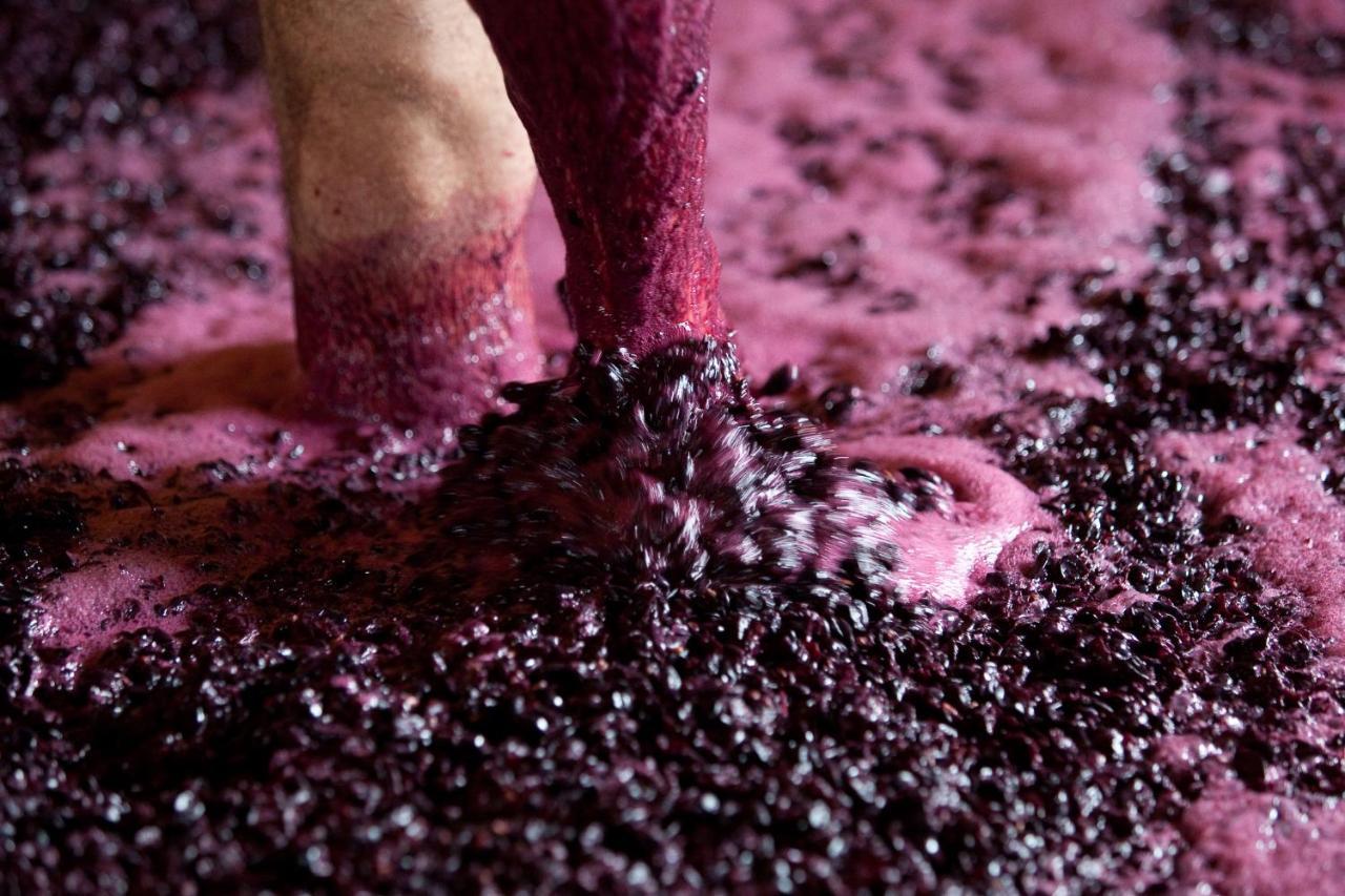 Willa Quinta Da Faisca - Agro Turismo Favaios Zewnętrze zdjęcie