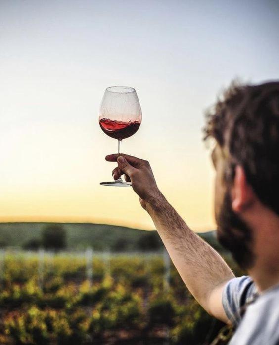 Willa Quinta Da Faisca - Agro Turismo Favaios Zewnętrze zdjęcie
